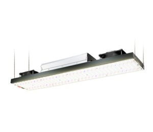 LongBoard 240w Samsung