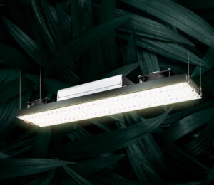 LongBoard 240w Samsung