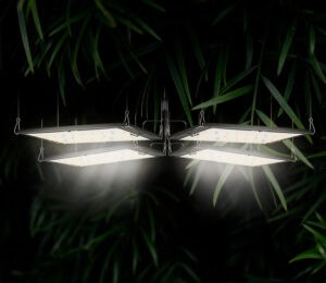 Power Switch Samsung 480w LM301H