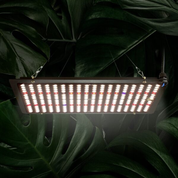 Quantum board Samsung lm301h 150w