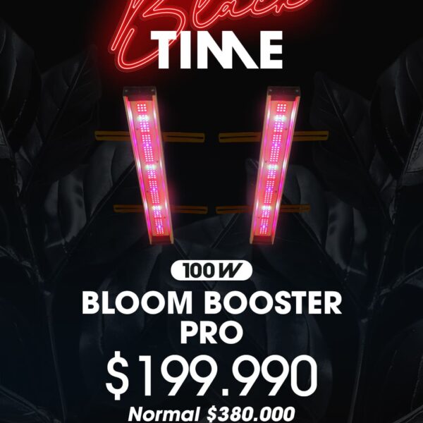 BLOOM-BOOSTER-100W