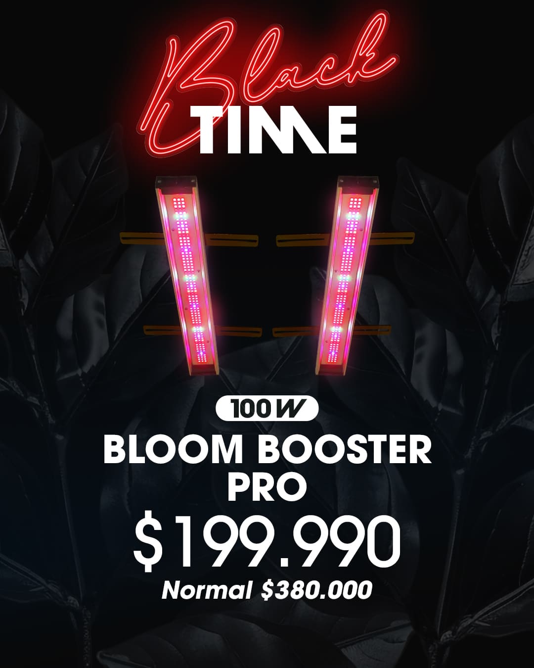 BLOOM-BOOSTER-100W BLOOM-BOOSTER-100W