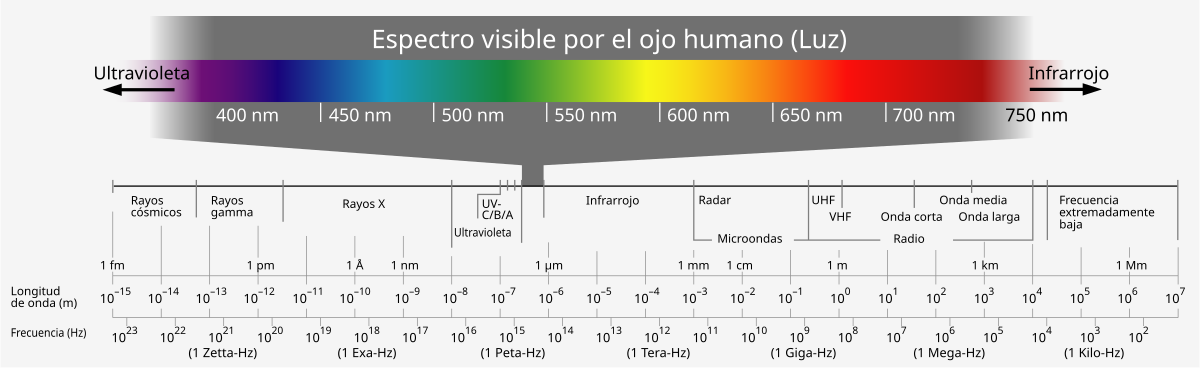 Luz Azul LED en las plantas