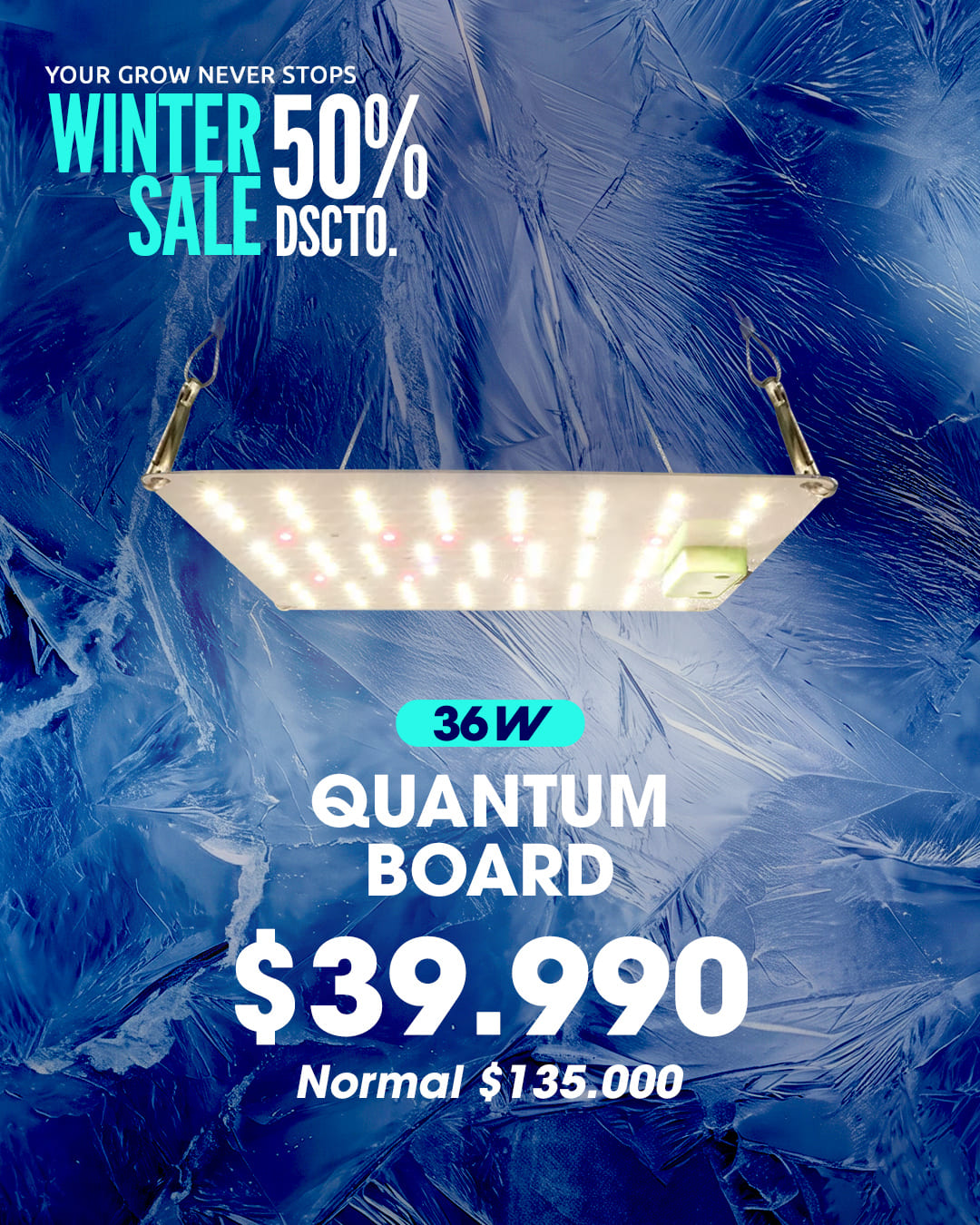 WINTER SALE QB 36W RECTANGULAR WINTER SALE QB 36W RECTANGULAR