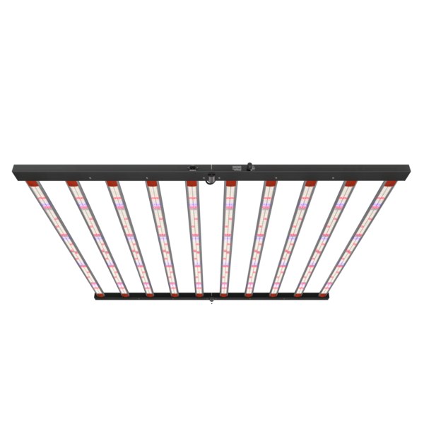 BPGL 1000w turn on
