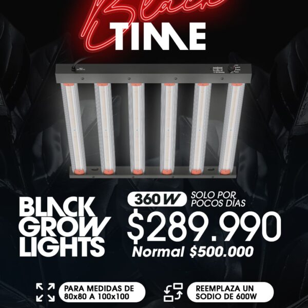 BGL360W BGL250W Oferta pocos dias