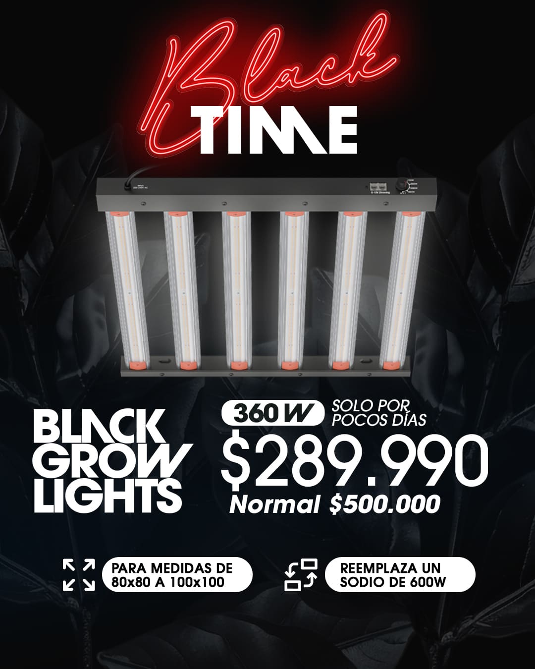 BGL360W BGL250W Oferta pocos dias BGL360W BGL250W Oferta pocos dias