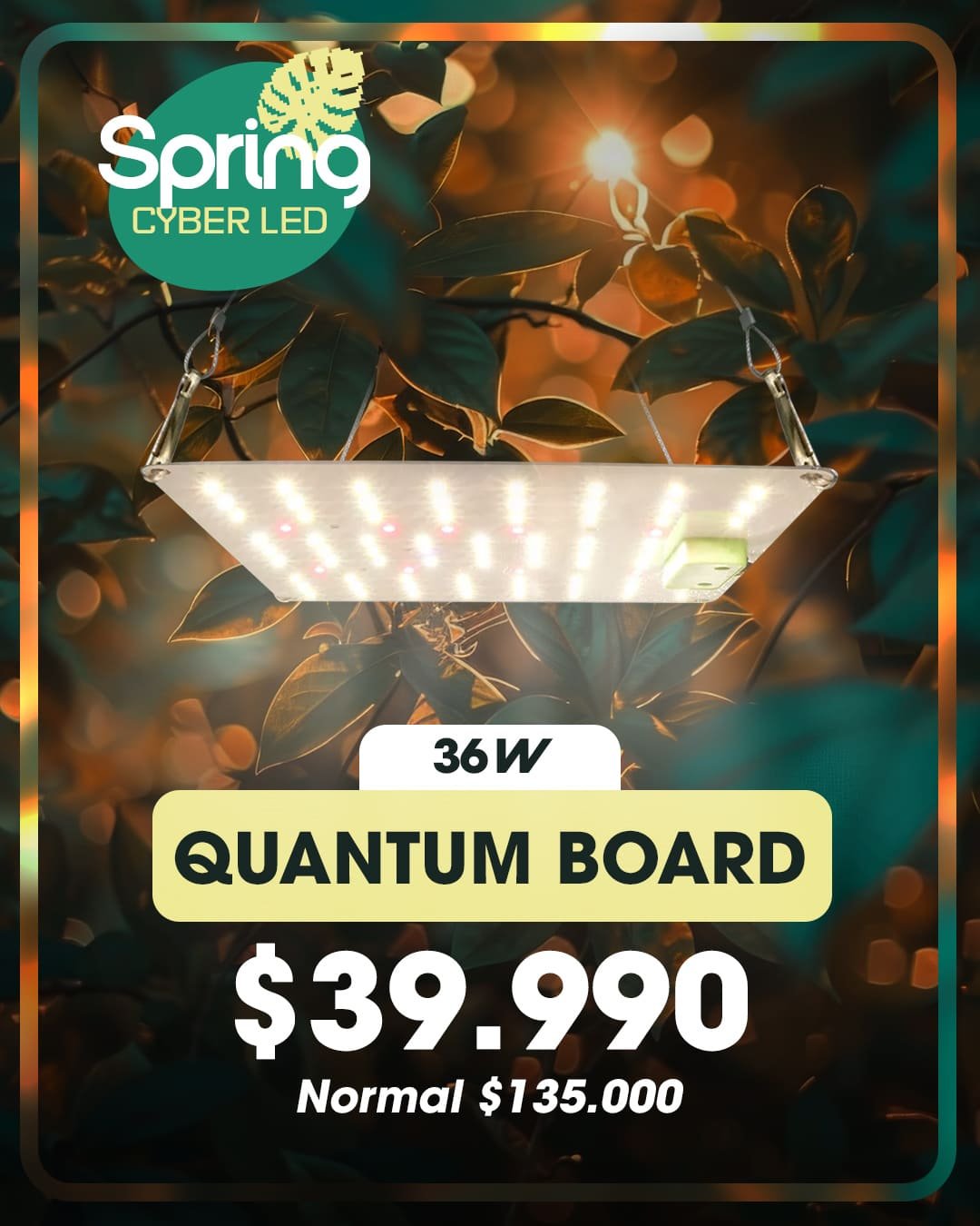 Spring Cyberled Quantum Board 36w full spectrum Spring Cyberled Quantum Board 36w full spectrum