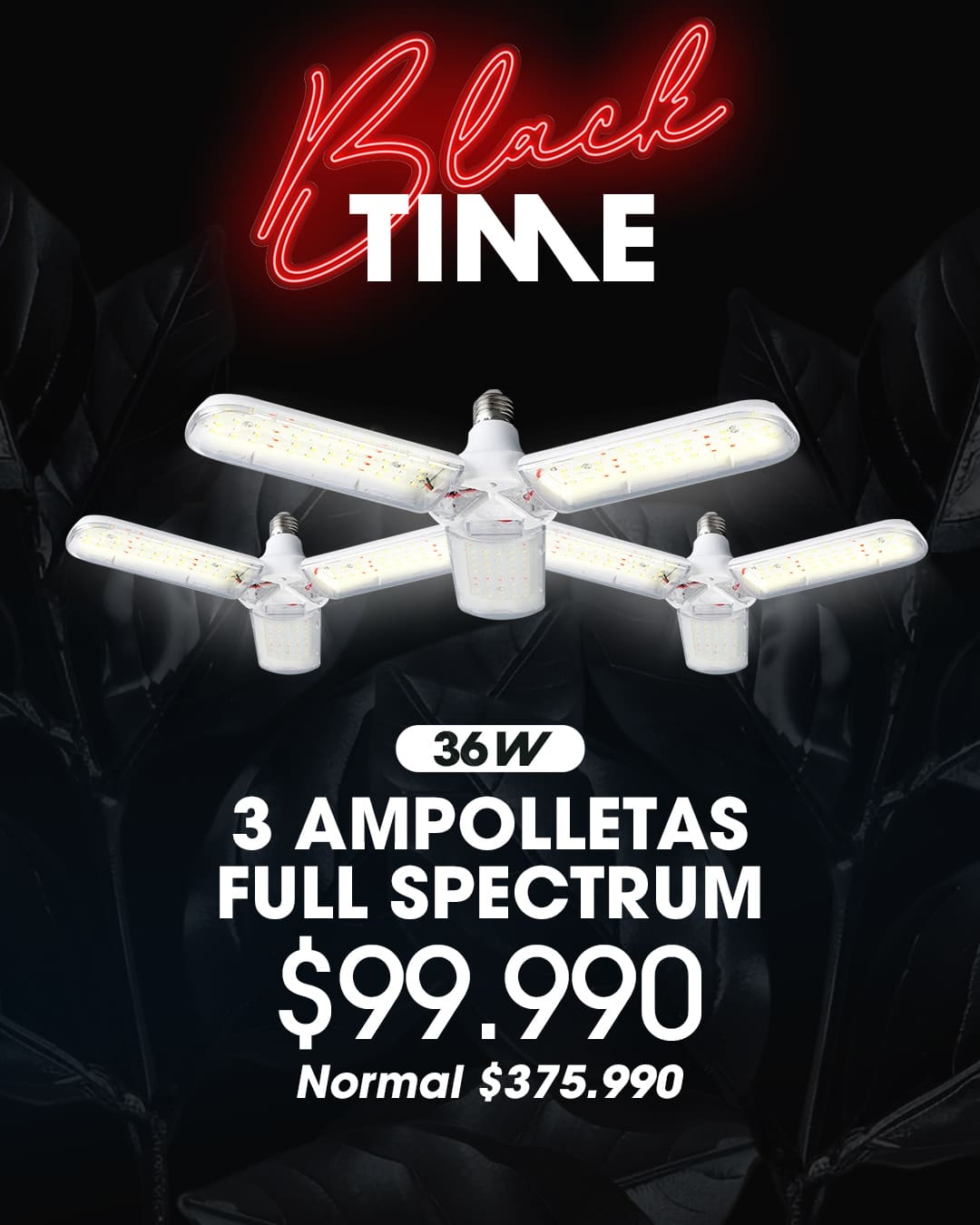 ampolletas-trio ampolletas-trio