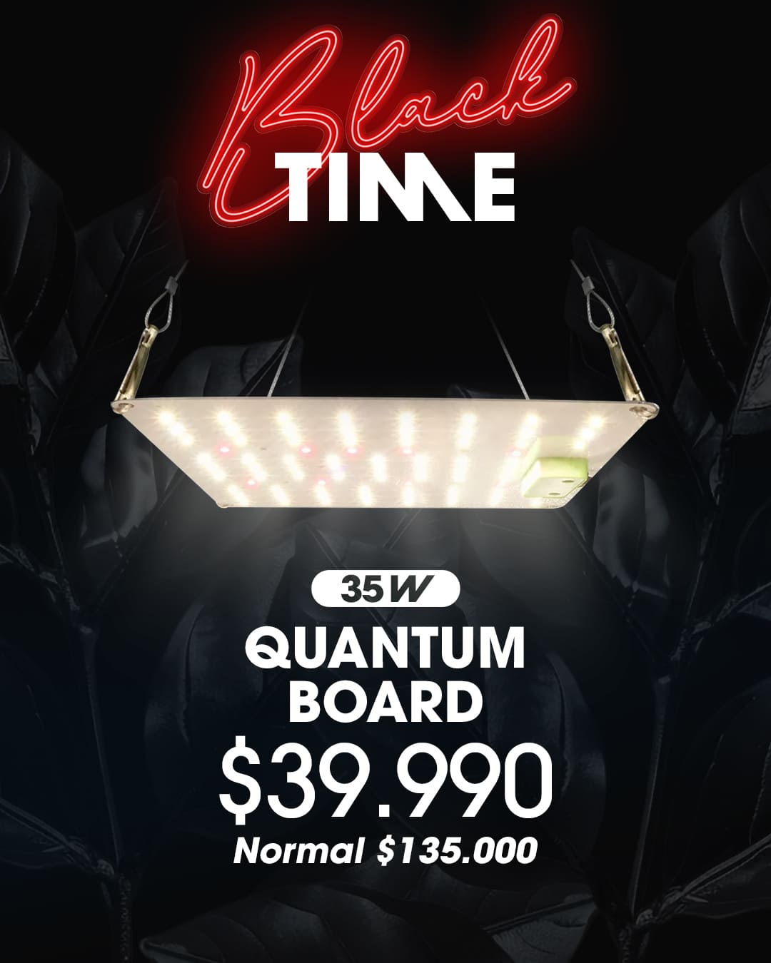 quantum-board-36w quantum-board-36w