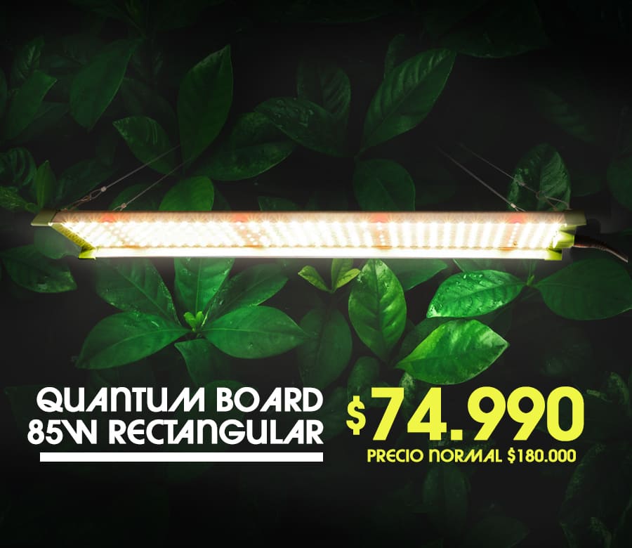 quantum 85w rectangular quantum 85w rectangular