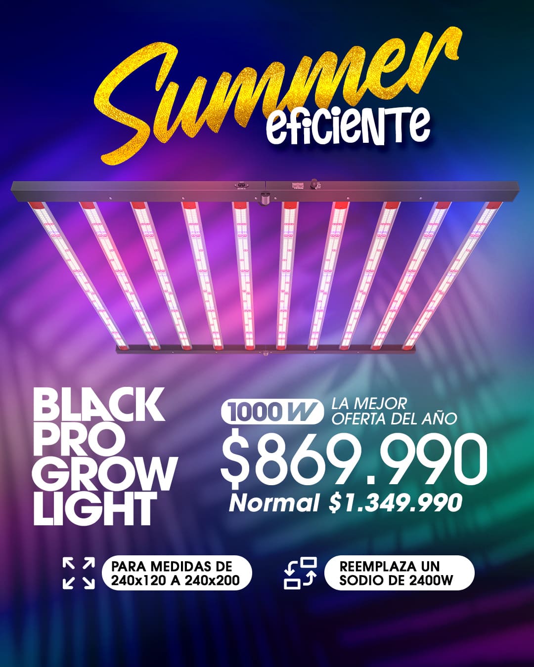 BP1000 Summer Eficiente BP1000 Summer Eficiente