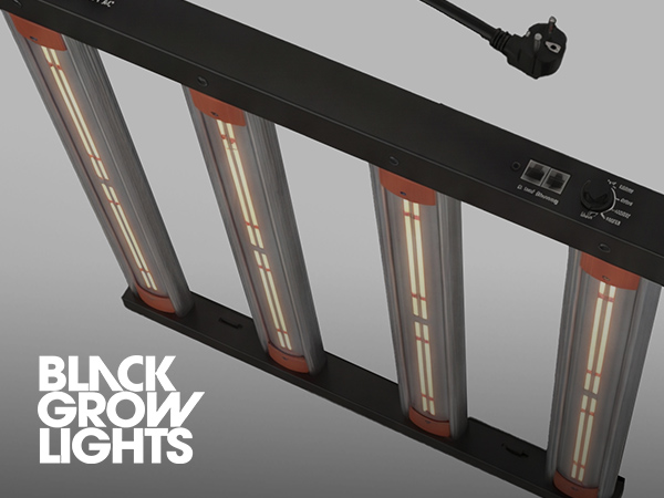 Black Grow Lights