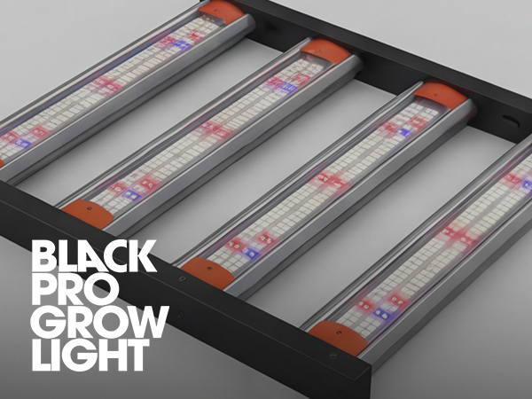 Black Pro Grow Lights