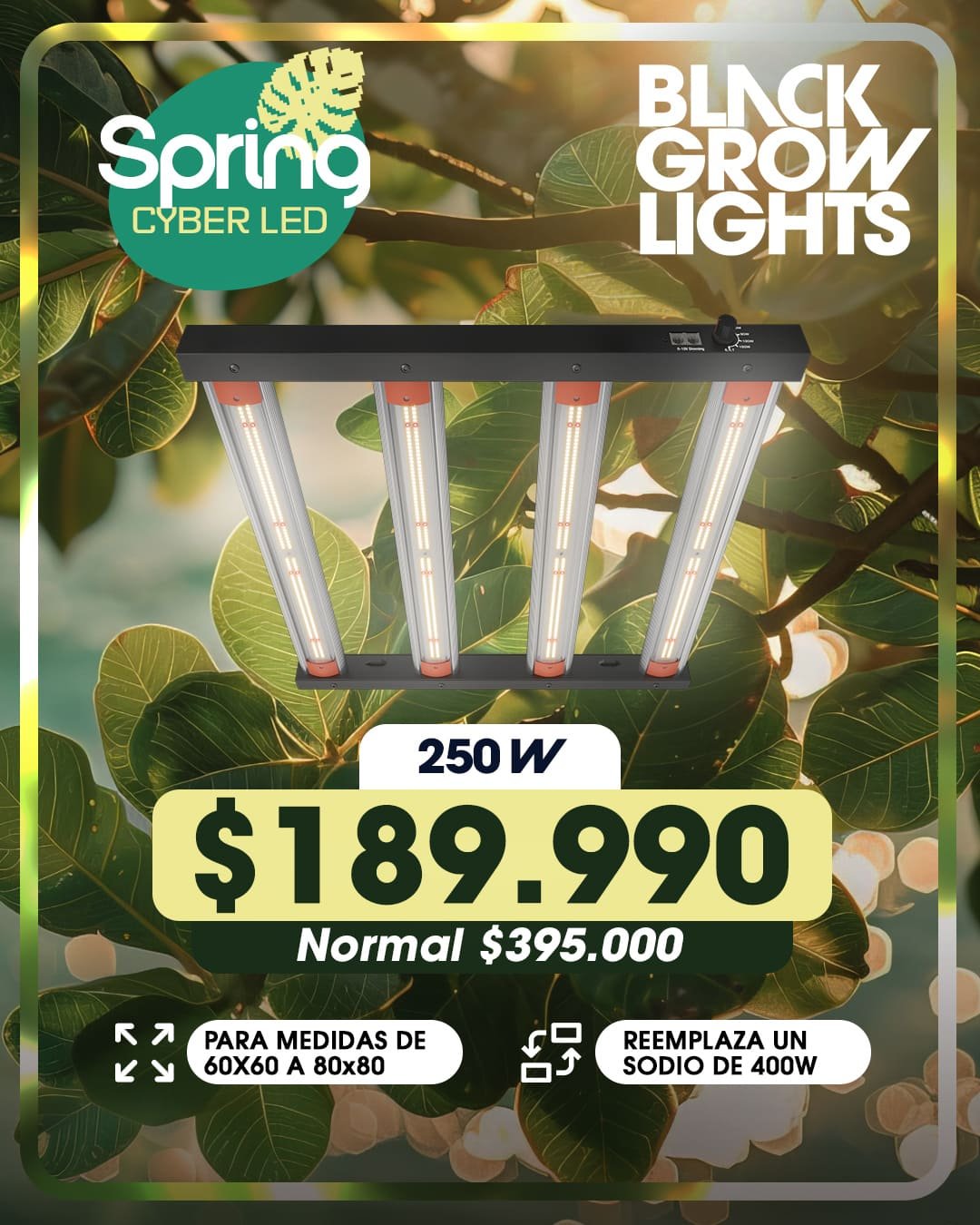 Spring Cyberled Black Grow Light 250w Spring Cyberled Black Grow Light 250w